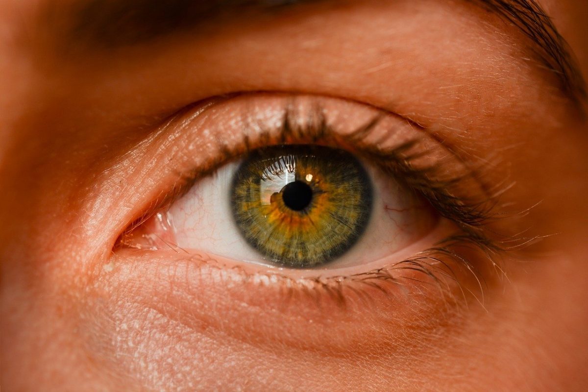 Oczy to wyjątkowy organ. To dokładnie dzięki nim widzimy.